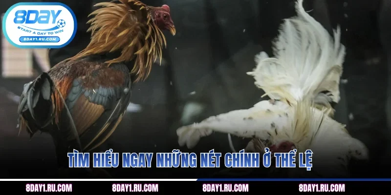 Tìm hiểu ngay những nét chính ở thể lệ