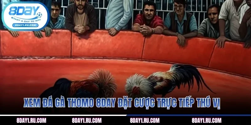 Xem thi đấu tham gia đặt cược trực tiếp thú vị nhiều cửa chơi
